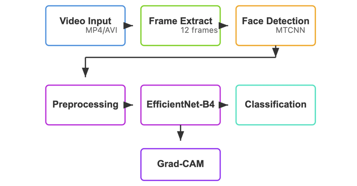 Detection pipeline. A video is reduced to 12 frames, faces are detected with MTCNN and preprocessed, an EfficientNet-B4 backbone scores each frame, and Grad-CAM provides region-level explanations of the trained model.